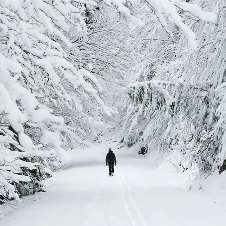 Casa Real By Bevalle Apartament *