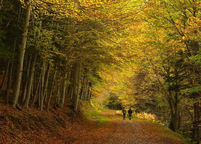 Apartament Casa Real By Bevalle