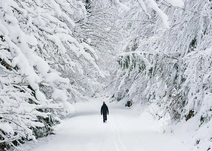 Casa Real By Bevalle Apartament *